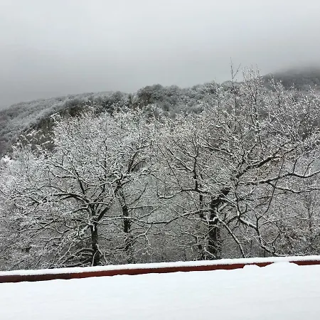 Lägenhet Casa Del Bosco Roccaraso